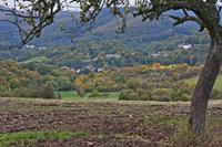 Cjp_2012_10_16_161018.jpg