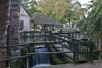 Cjp_2012_10_17_062642.jpg
