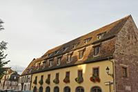 Cjp_2012_10_17_064310.jpg