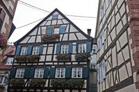 Cjp_2012_10_17_065550.jpg