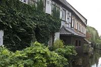 Cjp_2012_10_17_071616.jpg