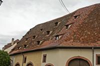 Cjp_2012_10_17_072636.jpg