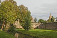 Cjp_2012_10_17_084316.jpg