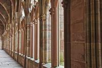 Cjp_2012_10_17_091730.jpg