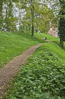 Cjp_2012_10_17_121626.jpg