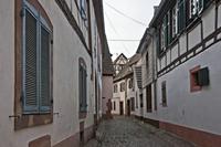 Cjp_2012_10_17_131640.jpg