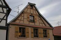 Cjp_2012_10_18_070216.jpg
