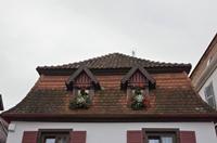 Cjp_2012_10_18_071030.jpg