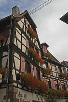 Cjp_2012_10_18_073904.jpg