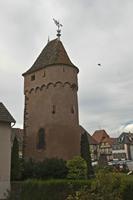 Cjp_2012_10_18_081600.jpg