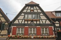 Cjp_2012_10_18_083156.jpg