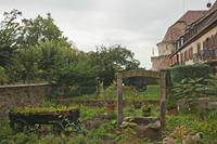 Cjp_2012_10_18_083258.jpg