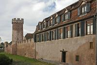 Cjp_2012_10_18_083902.jpg