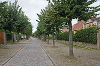 Cjp_2012_10_18_084848.jpg