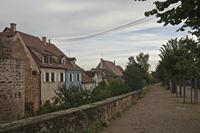 Cjp_2012_10_18_085324.jpg