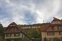 Cjp_2012_10_18_090412.jpg