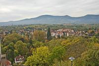 Cjp_2012_10_18_110924.jpg