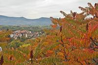 Cjp_2012_10_18_110952.jpg