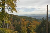 Cjp_2012_10_18_115956.jpg
