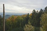 Cjp_2012_10_18_120004.jpg
