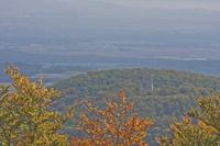 Cjp_2012_10_18_120848.jpg