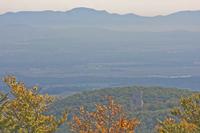 Cjp_2012_10_18_120900.jpg