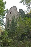 Cjp_2012_10_18_130918.jpg