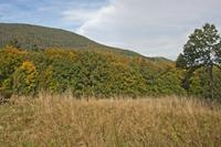 Cjp_2012_10_18_133342.jpg