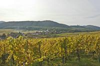 Cjp_2012_10_18_140702.jpg