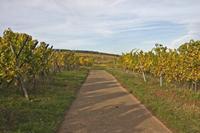 Cjp_2012_10_18_140940.jpg