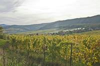 Cjp_2012_10_18_141438.jpg