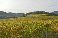 Cjp_2012_10_18_141444.jpg