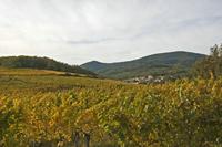 Cjp_2012_10_18_141458.jpg