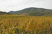Cjp_2012_10_18_141600.jpg