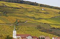 Cjp_2012_10_18_142122.jpg