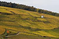 Cjp_2012_10_18_142526.jpg