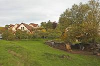 Cjp_2012_10_18_144402.jpg