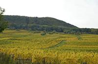 Cjp_2012_10_18_144826.jpg
