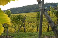 Cjp_2012_10_18_145218.jpg