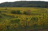 Cjp_2012_10_18_145304.jpg