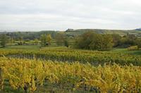 Cjp_2012_10_18_145318.jpg