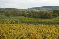 Cjp_2012_10_18_145424.jpg