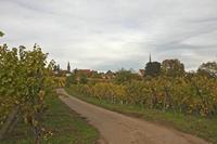 Cjp_2012_10_18_150816.jpg