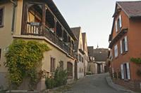 Cjp_2012_10_19_062356.jpg