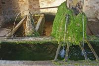 Cjp_2012_10_19_062702.jpg
