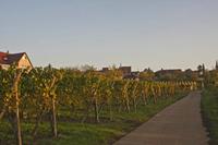 Cjp_2012_10_19_062852.jpg