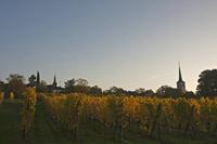 Cjp_2012_10_19_063024.jpg