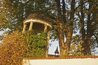 Cjp_2012_10_19_063356.jpg