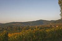 Cjp_2012_10_19_063436.jpg