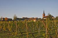 Cjp_2012_10_19_064448.jpg